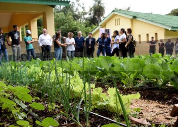 Hospital Carrillo inauguró su huerta: un proyecto de labor y terapia para los pacientes