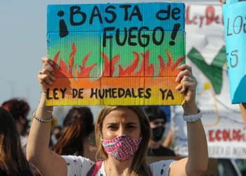 “Una ley nacional de Humedales permitiría que ninguna provincia especule en términos antiambientales”