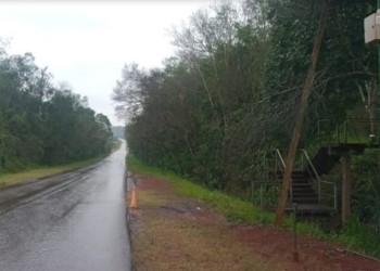 Parque Urugua-í: avanzan los trabajos para evitar atropellamientos