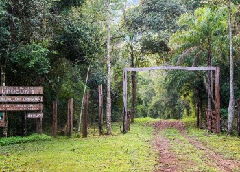 Reserva de Vida Silvestre Urugua-í, 25 años