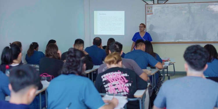 HAY 13 PROFESIONALES EN TODA LA PROVINCIA. A partir de la pandemia, la profesión experimentó un crecimiento y un reconocimiento superlativo.