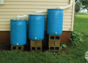 Cómo recolectar y almacenar agua de lluvia en la agricultura