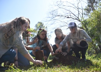 IPS Misiones plantó árboles en conmemoración a las víctimas de violencia de género