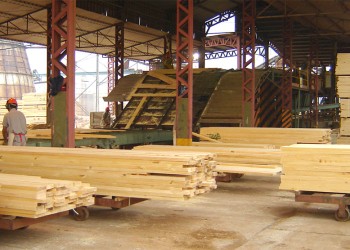 Importación: la foresto industria todavía no puede trabajar al 100%