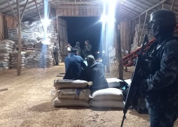 Desarticulan red de contrabando de soja en Misiones