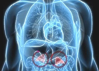 Día contra el cáncer neuroendocrino: qué es y cuáles son sus síntomas