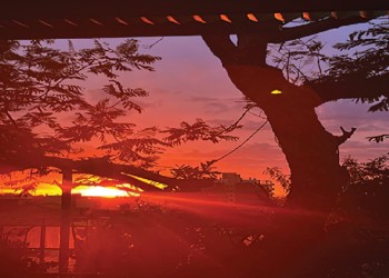 Limpieza con colores cálidos