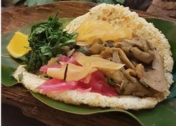 Crece la demanda de hongos comestibles en el sector gastronómico de Misiones