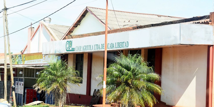BUENAS NOTICIAS. Después de estar desmantelada, la cooperativa es noticia porque se está recuperando.