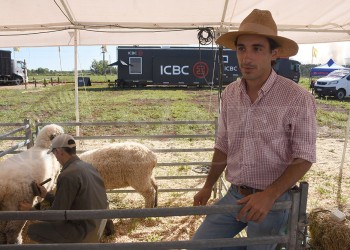 Fomentan cría y consumo de carne ovina y su manejo en los yerbales
