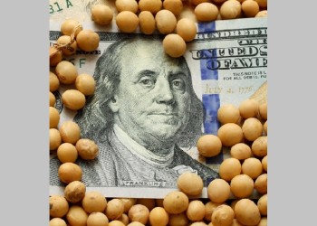 Volvió el dólar soja