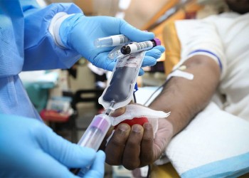 Este año, Argentina registró número récord de donantes de médula ósea