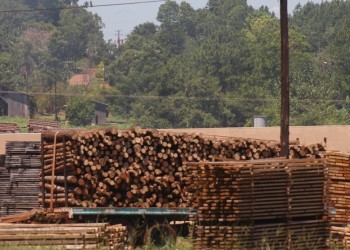 Escollos con tasas y papeleo impiden el acceso a créditos