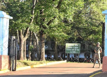 Homenajearon con una plantación simbólica de árboles a víctimas de violencia de género