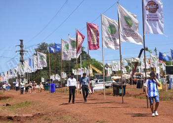 La foresto industria y el desafío de brindar trabajos de calidad