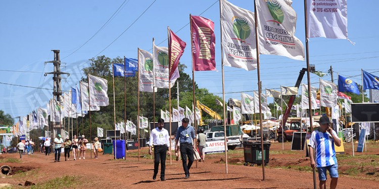 DÍAS DE SOL. El buen clima acompañó las primeras jornadas de la Feria Forestal.