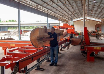 Foresto industria: “Han comenzado los despidos” por falta de insumos