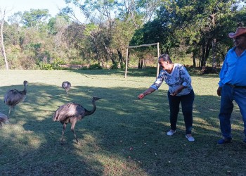 Dejaron la ciudad, se instalaron en la chacra y crearon un emprendimiento agroturístico