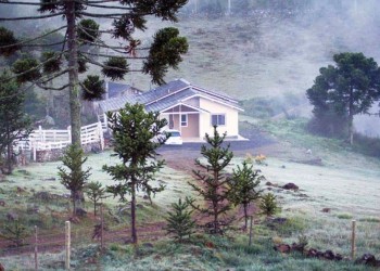 Heladas de noviembre en Misiones: “Es muy insólito, pero se están registrando”