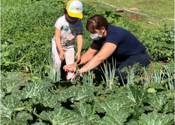 Crearon una huerta solidaria y venden compost para gastos