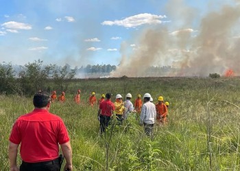 Misiones está en alerta extrema ante la posible aparición de focos de incendios