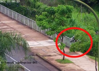 Posadas: adolescente intentó arrojarse al río Paraná, pero se lo impidieron