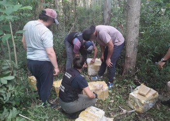 Secuestran más de 150 kilos de marihuana en Genera Urquiza
