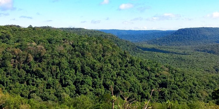 PANORAMA DIFÍCIL. Los referentes advirtieron sobre las complicaciones ambientales que afectan a la provincia.