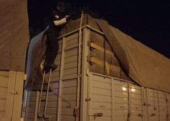 Otro camión cargado de granos, pero “flojo de papeles” fue retenido en Misiones