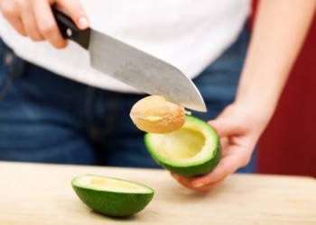 Técnicas para cultivar palta en casa