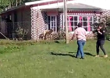 Periodistas amenazados y apedreados en San Javier