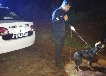 Abandonaron a un perro entre malezas atado, a un árbol