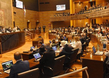 En el año se aprobaron 119 leyes con prioridad en salud y el cuidado del ambiente