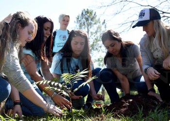 Homenajearon con una plantación simbólica de árboles a víctimas de violencia de género