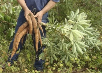 Cómo afectaron la sequía y las heladas a las producciones regionales