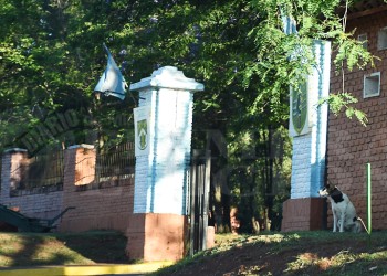 Soldados voluntarias denunciaron abuso sexual en el Regimiento de Posadas