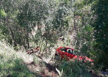 Nuevo despiste sobre la ruta nacional 12 en Misiones