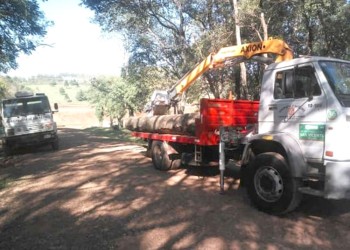 La comuna de San Vicente taló árboles y generó indignación