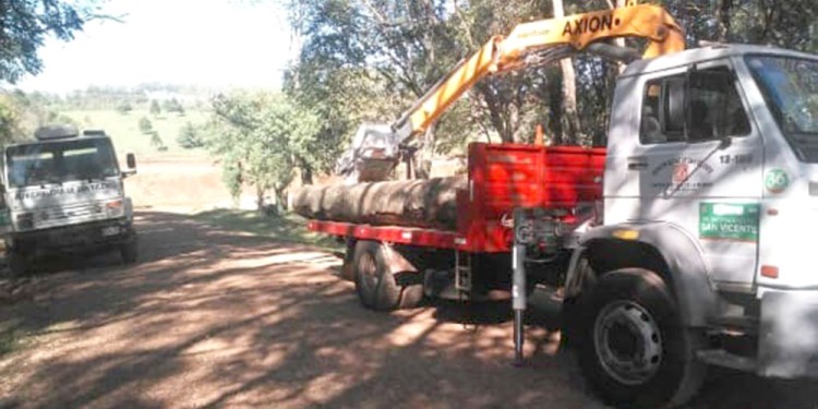 ESCRACHADOS. Los camiones de la comuna fueron fotografiados por los vecinos que denunciaron la tala.