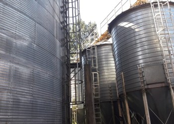 Gendarmería allanó los silos del IFAI en Bernardo de Irigoyen