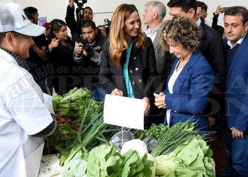 Tolosa Paz anunció que habrá cambios en los sistemas de auditoría a planes sociales