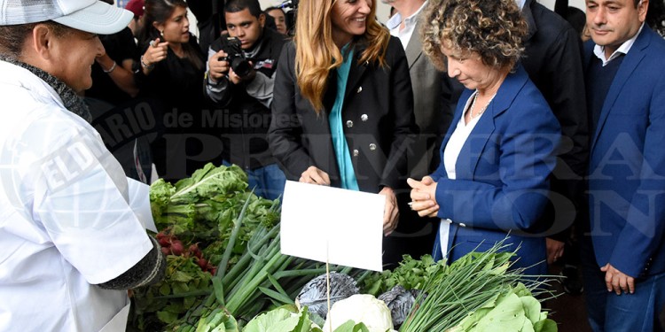 VISITA. La ministra de Desarrollo Social de la Nación, Tolosa Paz participó de varias actividades en Posadas.