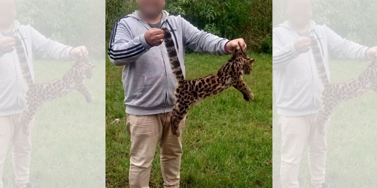 INDIGNANTE. El turista compartió las fotos en sus redes sociales.