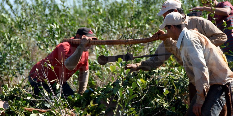 PASOS ATRÁS. El inconveniente se profundizó luego del desacople con la Tarjeta Alimentar.