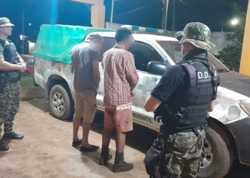 Trasladaban rollos de madera nativa robados y terminaron presos