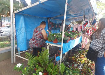 Intercambio de plantas, bulbos, ramas y mudas en plazoleta obereña