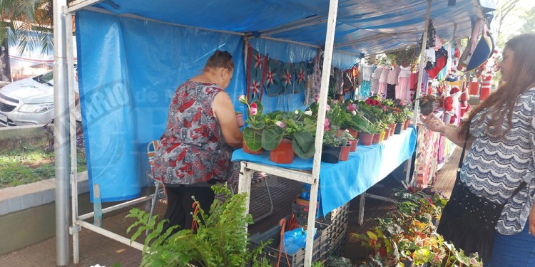 VIVERISTAS. Muchos de los que integran Oberá Emprende dedican casi todo su tiempo al cuidado de las plantas.