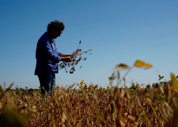 El clima, la principal preocupación de los productores agropecuarios