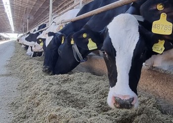 Cámaras industriales lácteas y del maní se sumaron a las críticas