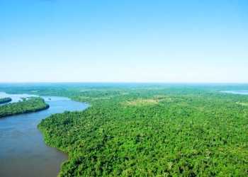 Destacan el reconocimiento de la ONU por la restauración del Bosque Atlántico